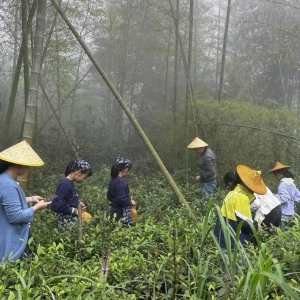 五一假期，军营村乡村研学活动迎来高潮，深受许多游客喜爱 ...